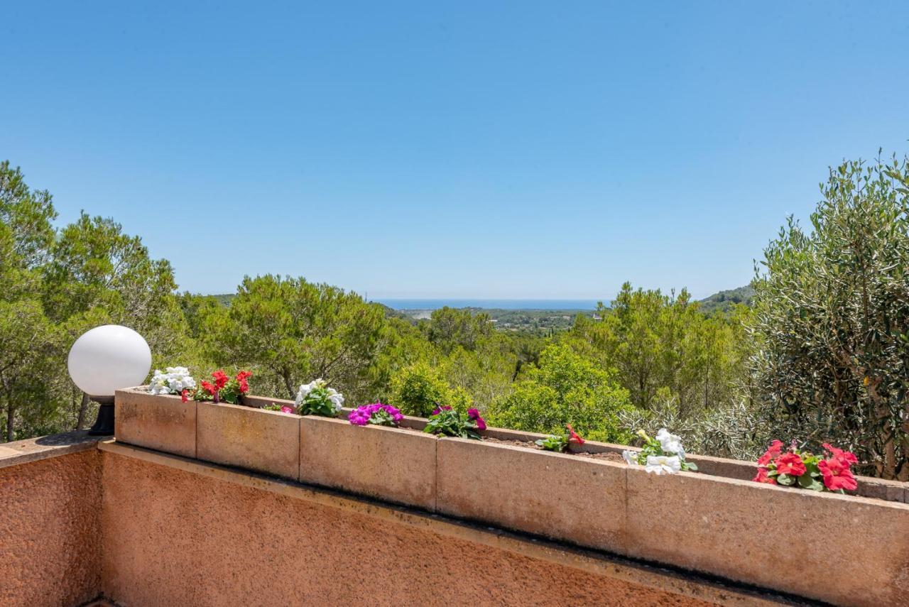Ferienhaus Bosc De Alou By Mallorca House Rent Felanitx